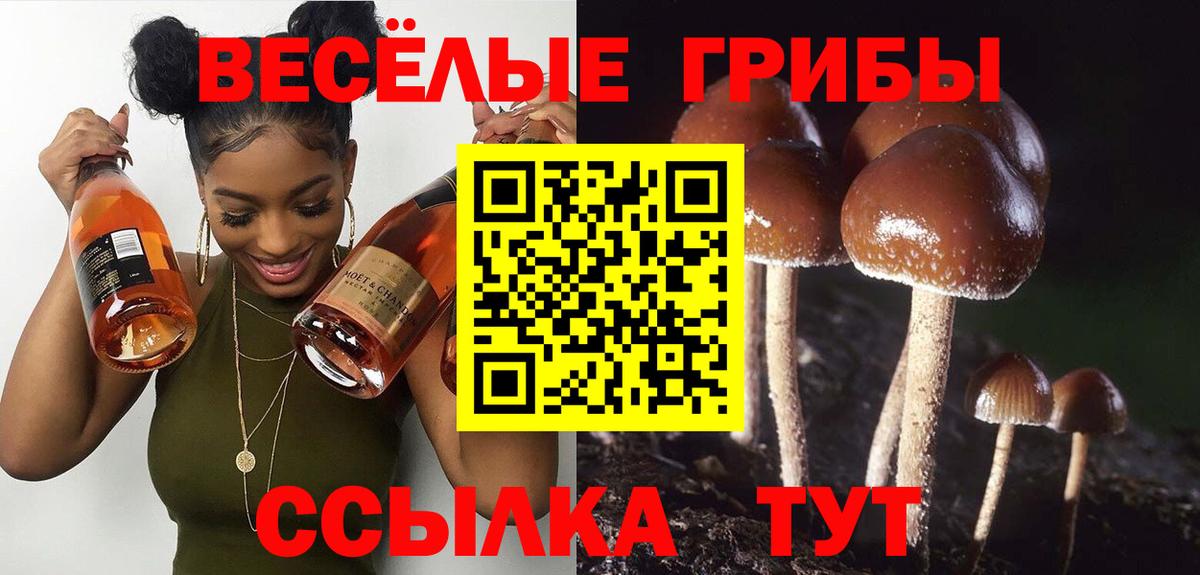 закладка  Галлюциногенные грибы GOLDEN TEACHER  Вход с VPN  Псилоцибиновые грибы MAGIC MUSHROOMS  Новосибирск 