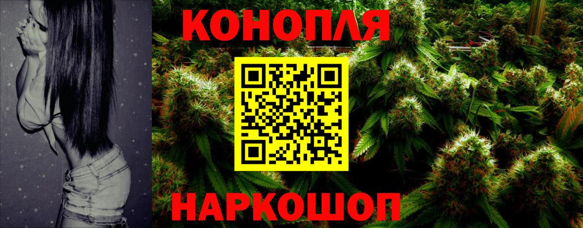 Каннабис план  Вход с VPN  Новосибирск  Бошки Шишки VHQ 